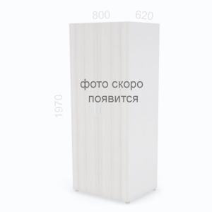 Шкаф гардероб, широкий, штанга для одежды Европа Лайт ЕВ ШГШ-Д , ШхГхВ: 800х620х1970мм